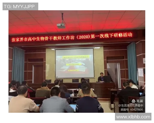 成都排球队灵活性分析与战术创新的深度探讨