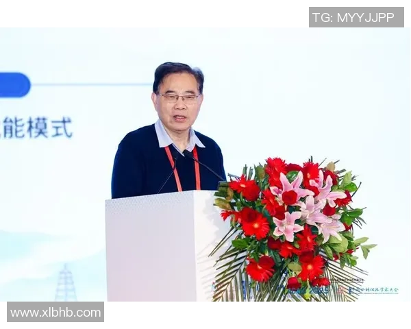 西安羽毛球队的蜕变之路：从传统到现代的深度探索与转型分析